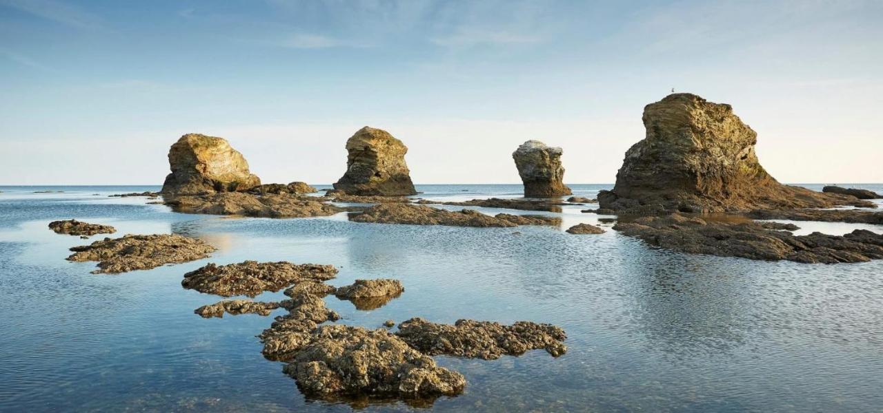 Appart Bord De Mer, 6 Places, Plage, Dune, Parking Gratuit, Rez De Chaussee Saint-Hilaire-de-Riez Exterior foto